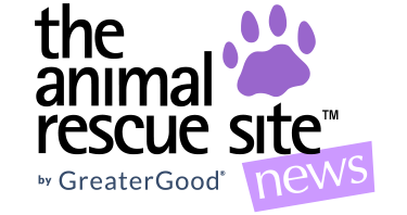 The Animal Rescue Site logo