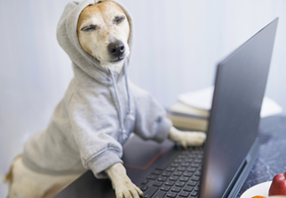 A sneaky hacker dog on a laptop
