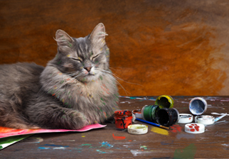 A cat taking a rest while painting
